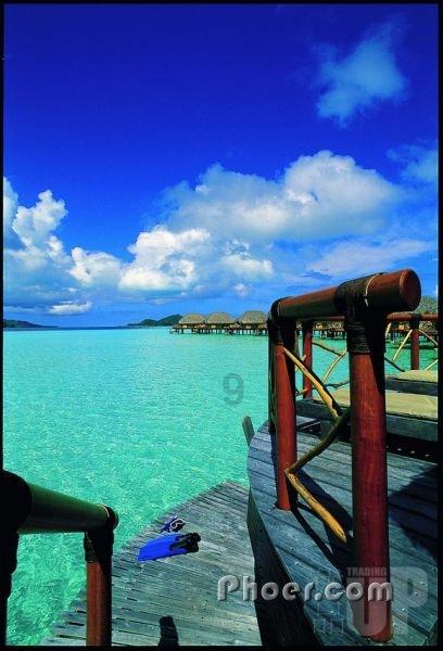 夏之许诺